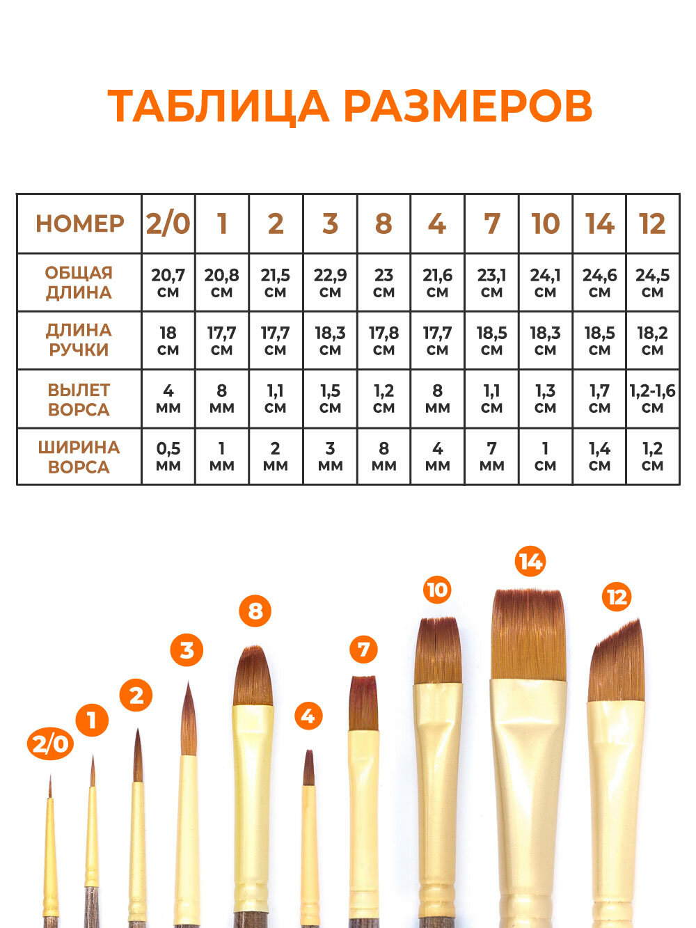 Набор кистей для рисования Малевичъ Claude, синтетика, 10 шт — фото 1