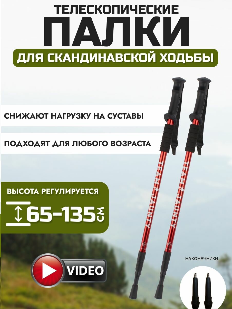 Палки для скандинавской ходьбы телескопические 67-135см для пожилых людей