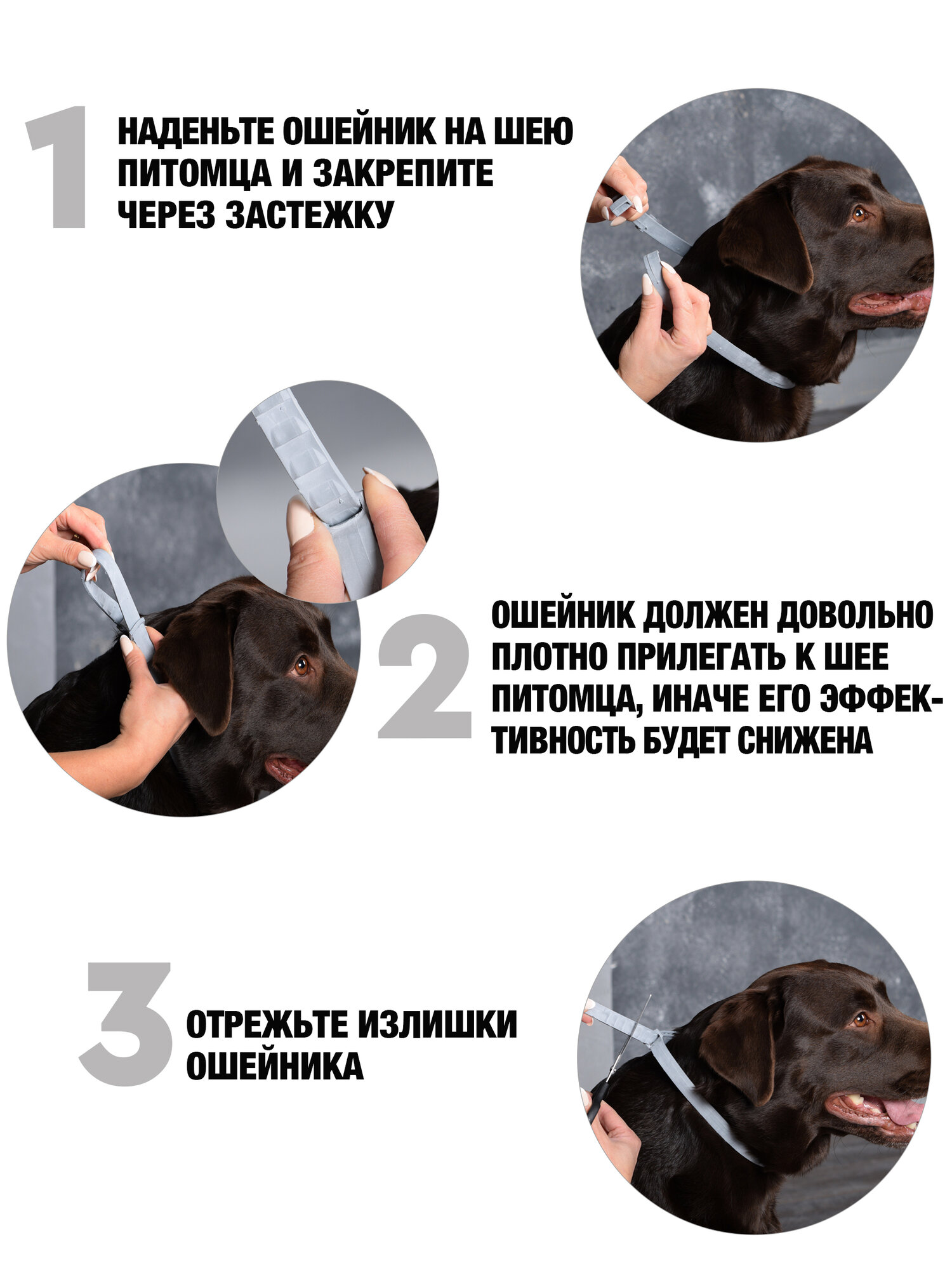 Рольф Клуб 3D ошейник от клещей и блох, для мелких собак и щенков, 40 см — фото 1