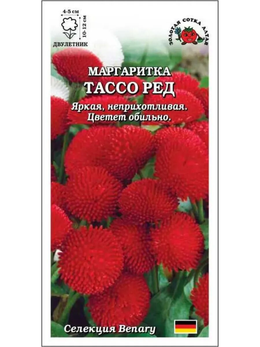 Маргаритка Тассо Ред / 10шт