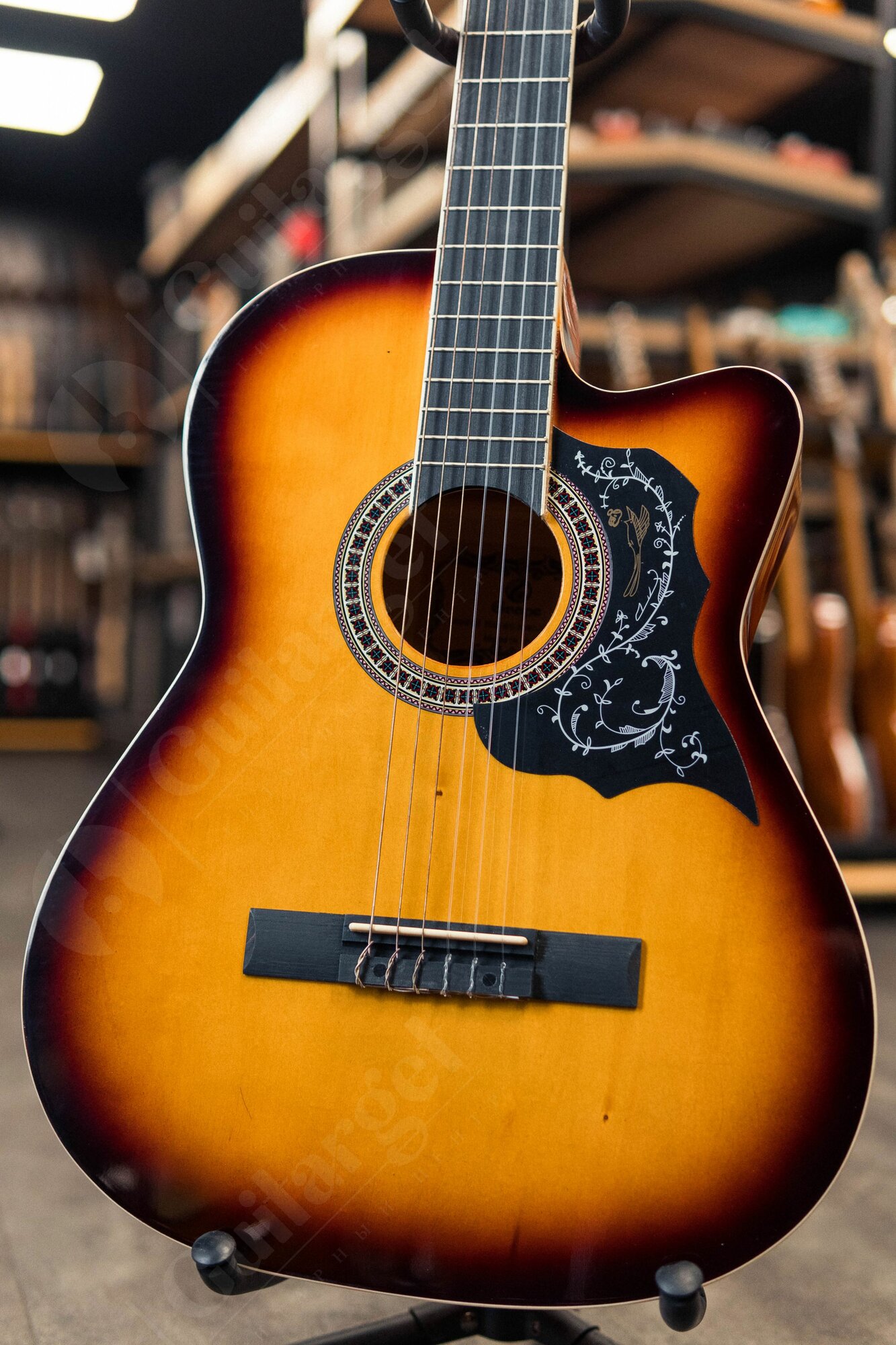 Классическая гитара Grape EC-309C-SB 4/4 — фото 1