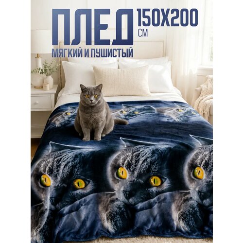 фото Плед 150х200 павлина британец кот синий 1.5 - спальный на диван