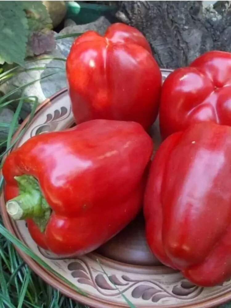 Семена сладкого перца Агрофирма аэлита «Калифорнийское Чудо». — фото 1