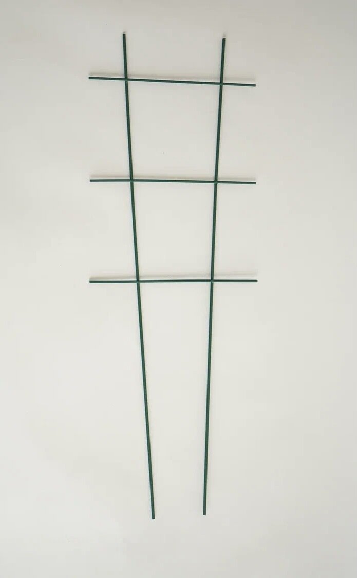 Шпалера (опора, держатель) для комнатных цветов и растений 60х20 см / Опора для комнатных растений