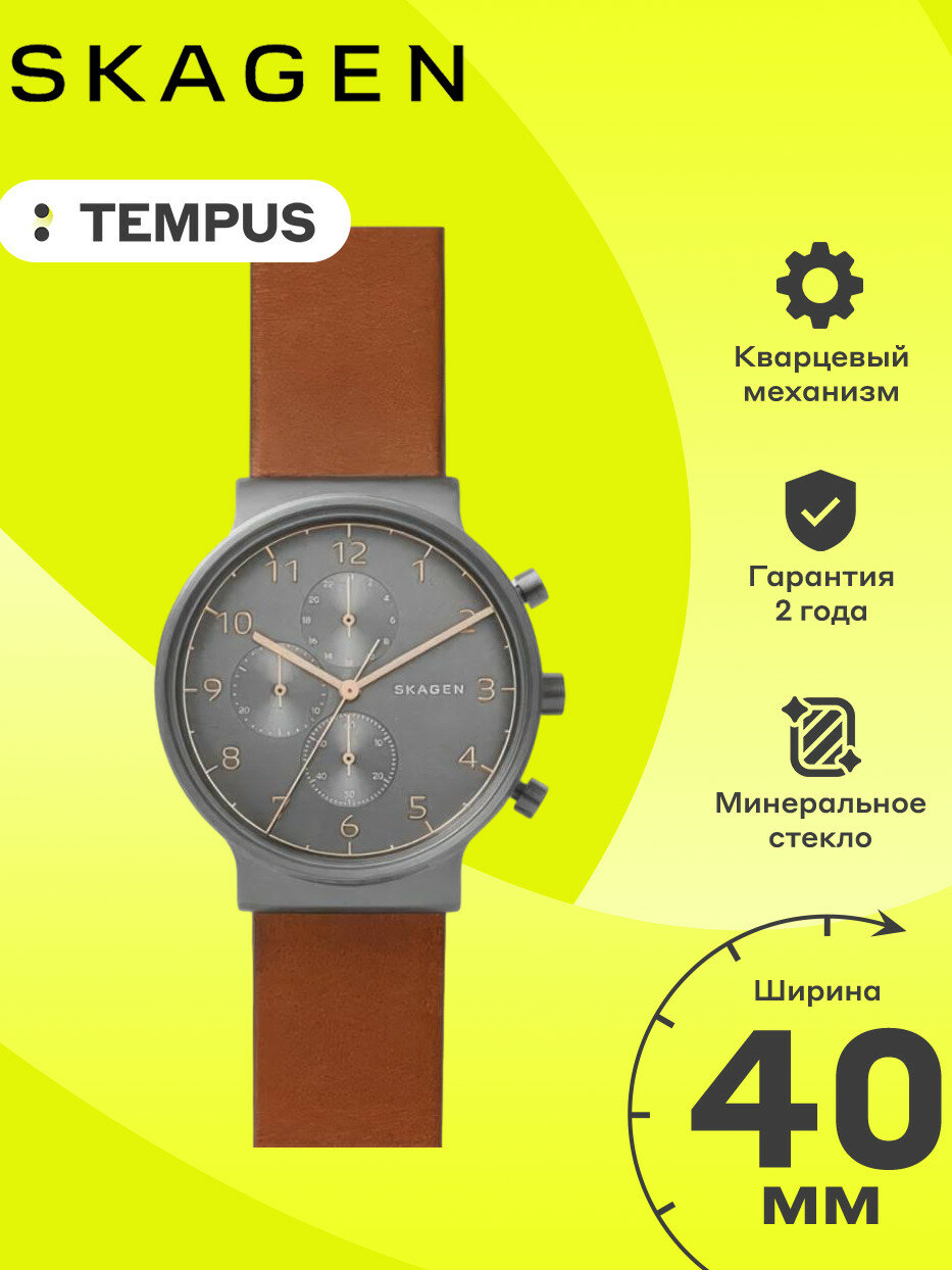 Наручные часы SKAGEN