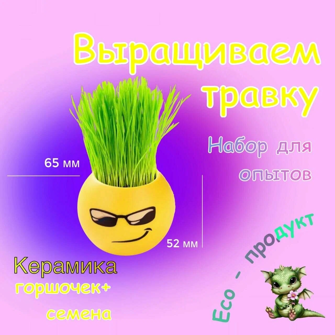 Набор для опытов Смайлик c очками керамика