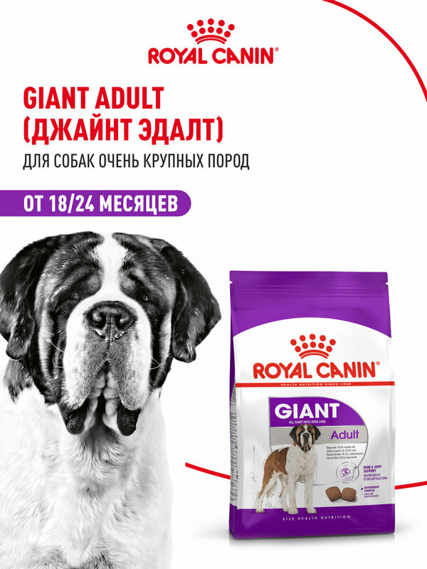 Сухой корм для собак Royal Canin Giant Adult для очень крупных пород, 15 кг