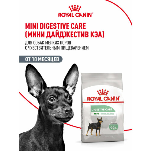 Сухой корм Royal Canin Mini Digestive Care (Мини Дайджестив Кэа) для собак мелких размеров с чувствительным пищеварением от 10 меc. до 12 лет, 1 кг