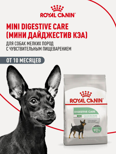 Изображение товара Сухой корм для собак мелких пород Royal Canin Mini Digestive Care при чувствительном пищеварении, 3 кг