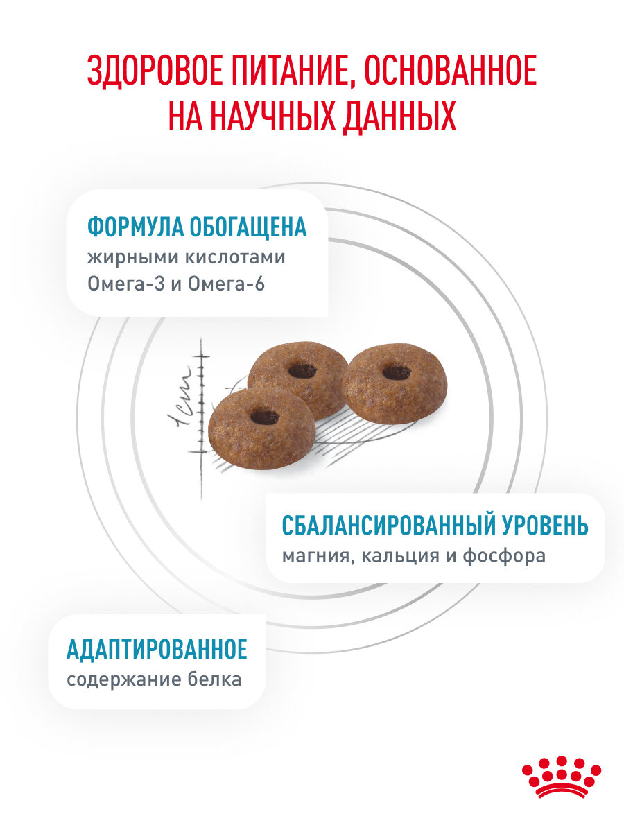 Сухой корм для кошек Royal Canin Skin&Coat для поддержания защитных функций кожи, 1,5 кг — фото 1