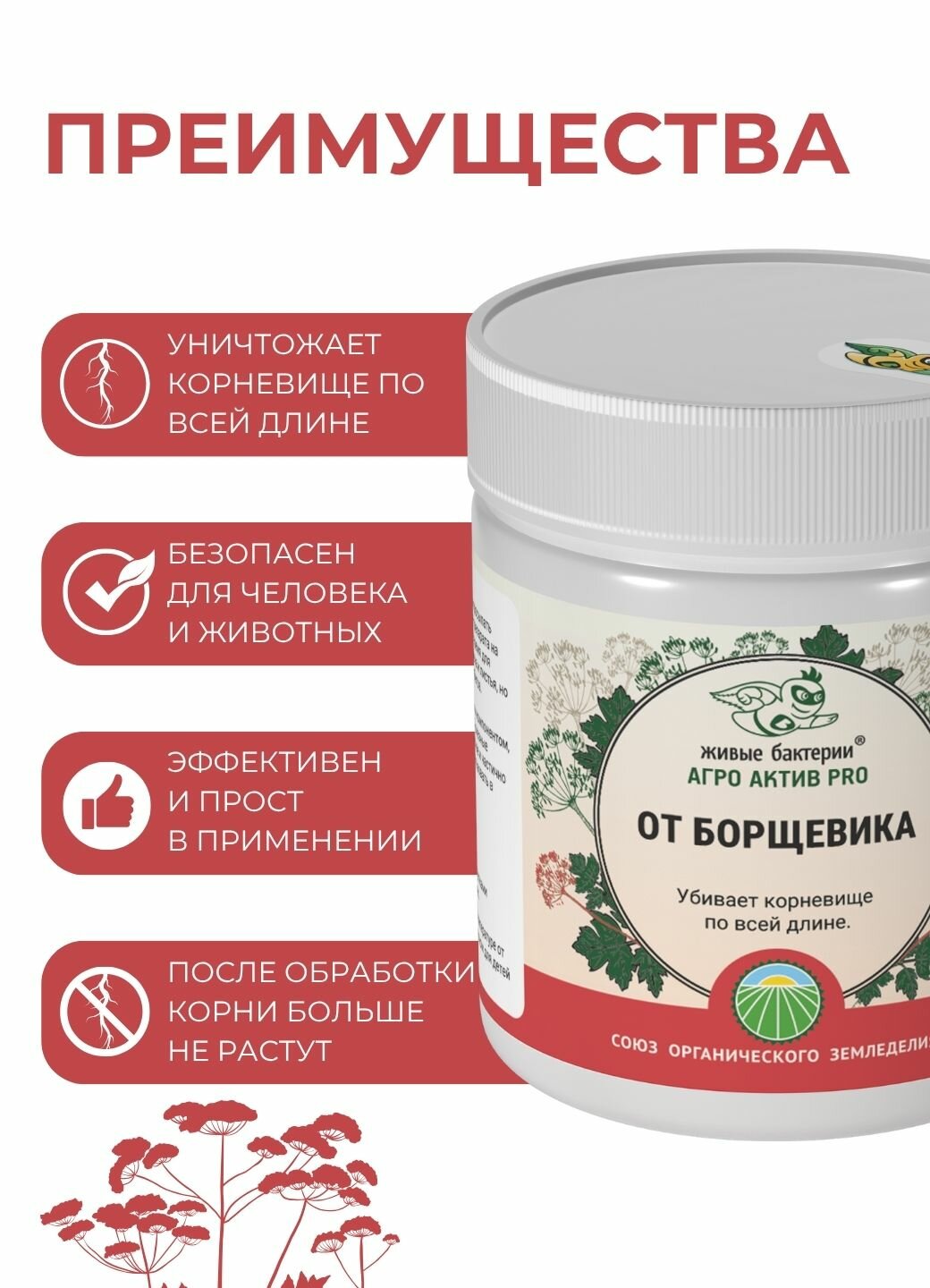 Картинки Гербицид, средство Агро Актив PRO Живые бактерии от борщевика и сорняков, биопрепарат 300 г.