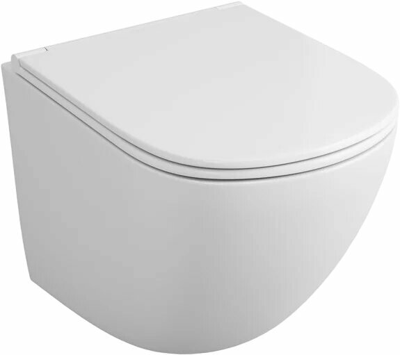 Унитаз подвесной Owl 1975 Vind TOWLT190302 с микролифтом безободковый без бачка фарфоровый антивсплеск белый овальный
