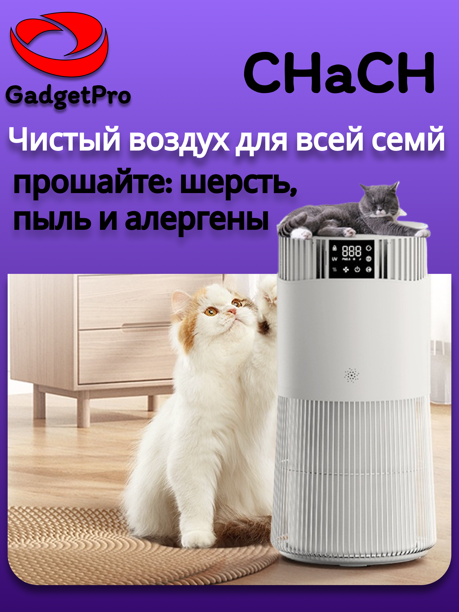 Очиститель воздуха CHACH PJ11: современный фильтр для дома, тихий и эффективный