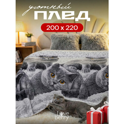 фото Плед 200х220 см loveberry плюшевый из велсофта, евро, в спальню, на диван, британцы, подарок маме love berry
