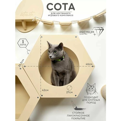 Полка для кошек настенная на стену Котомото / настенный игровой комплекс для кошек