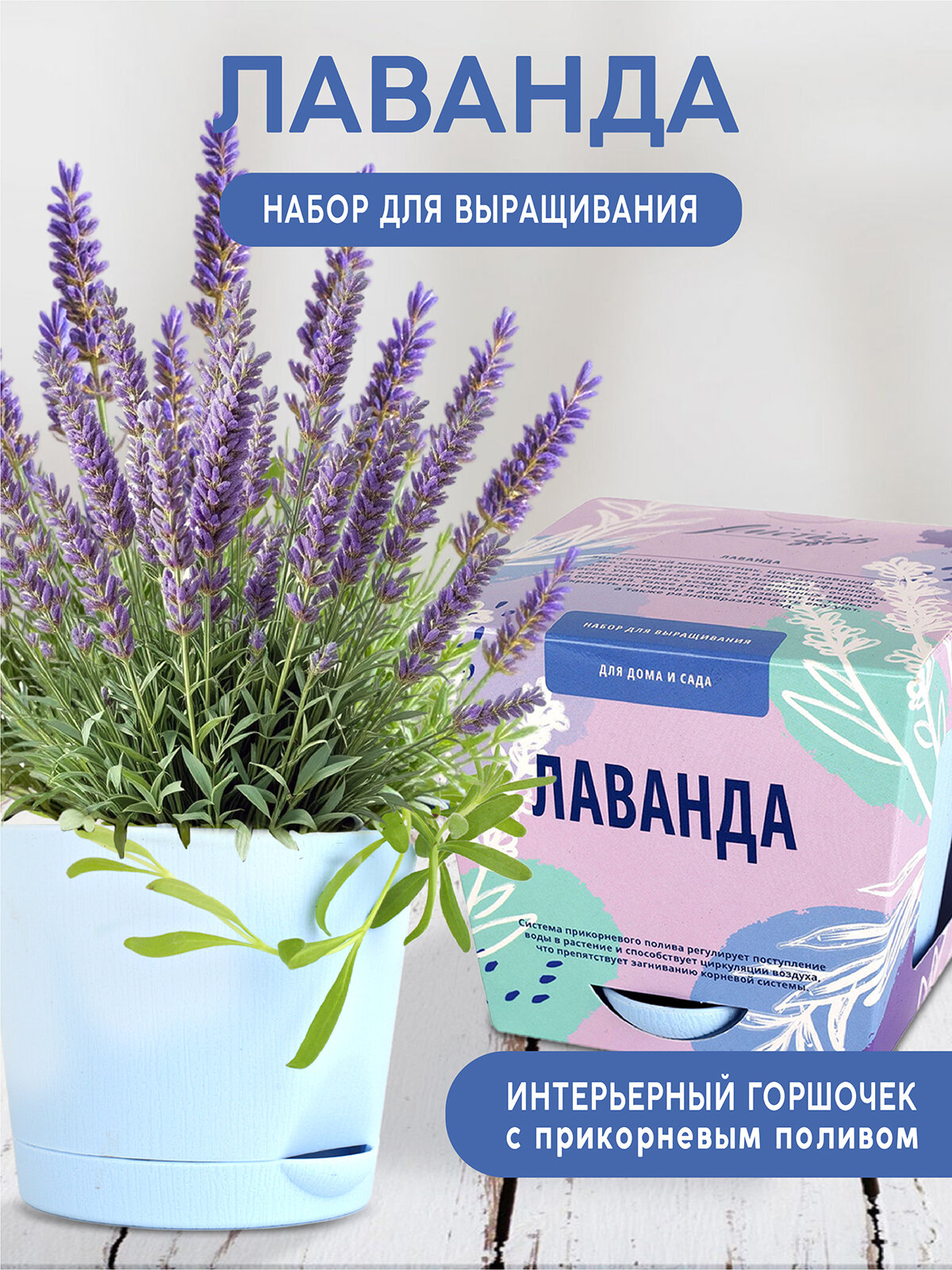 Набор для выращивания растений и цветов в горшке для дома