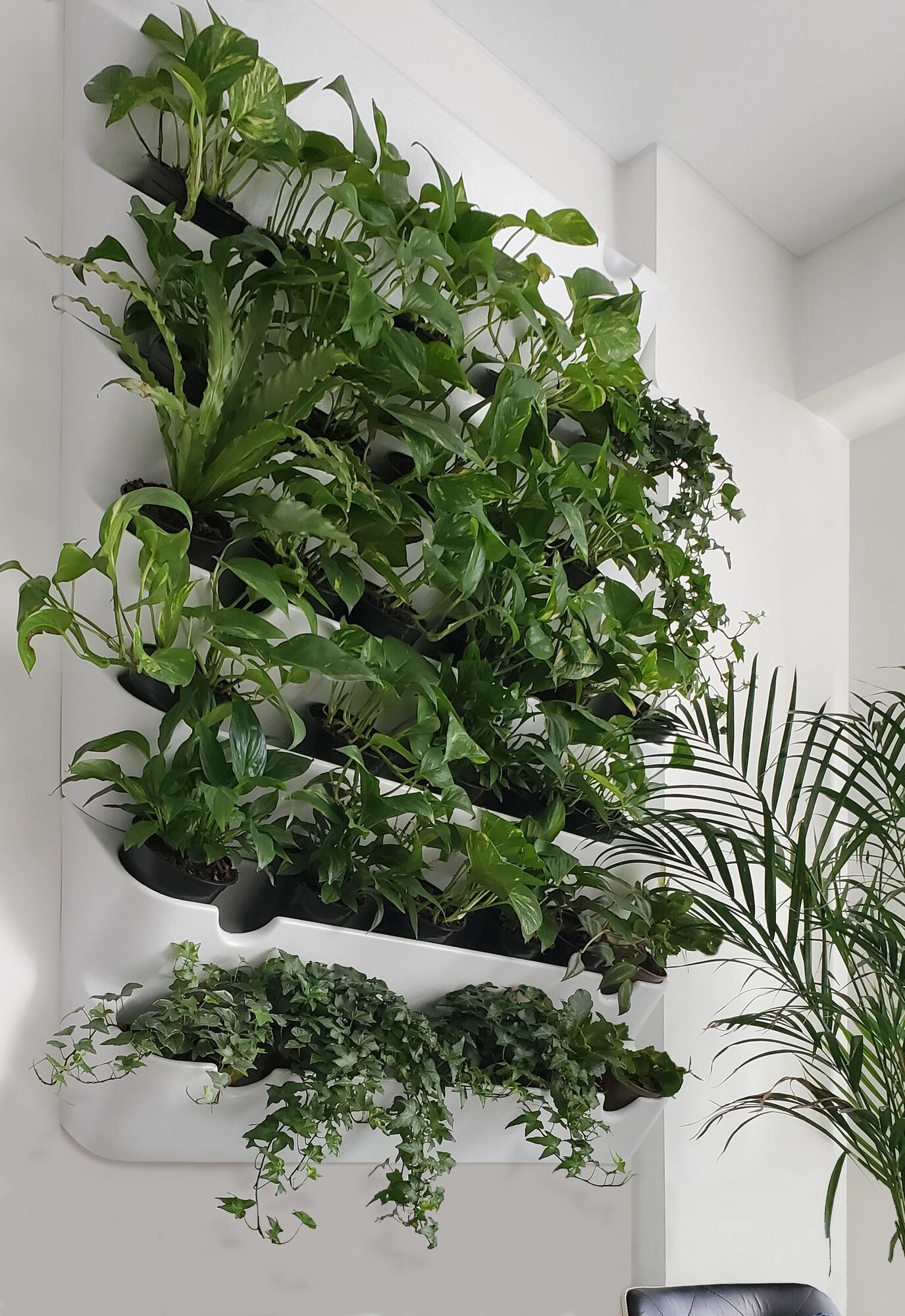 Фитомодуль 