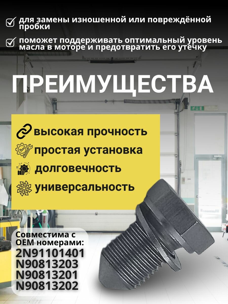 Пробка сливная (болт) масляного поддона с уплотнительным кольцом M14 x 1,5 : Audi, Seat, Skoda, Volkswagen OEM N90813202 — фото 1