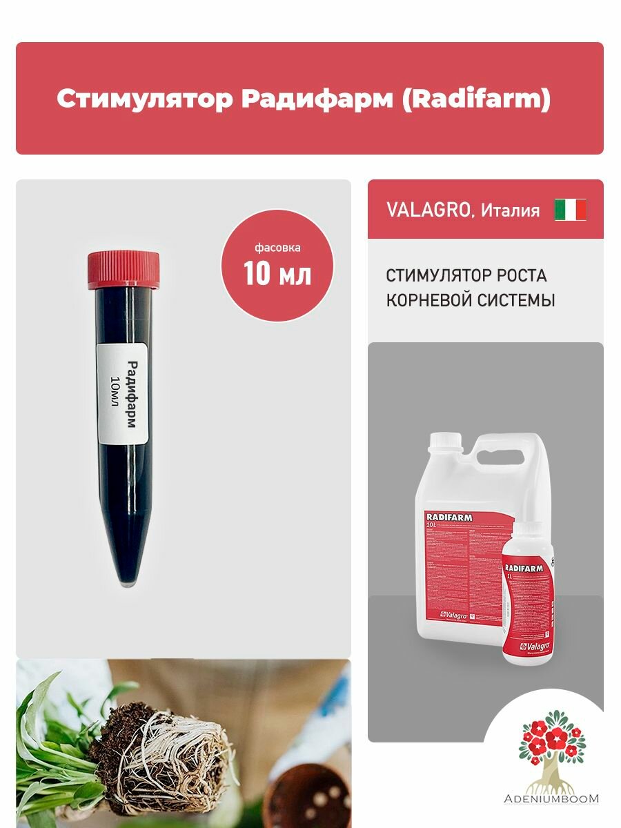 Стимулятор корнеобразования Радифарм (Radifarm) 10 мл. /укоренитель для растений удобрение средство для роста корней/AdeniumBoom