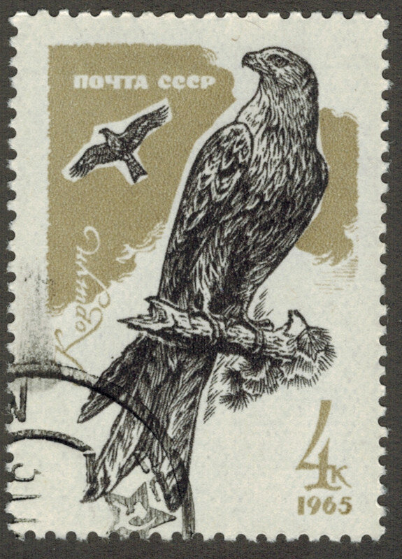 Марка  Россия  Коршун  1965 год  Фауна 