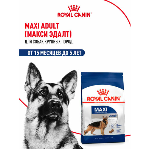 Сухой корм Royal Canin Maxi Adult (Макси Эдалт) для собак крупных размеров от 15 месяцев до 5 лет, 3 кг