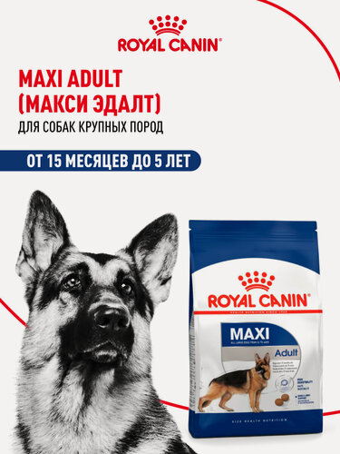 Изображение товара Сухой корм для собак Royal Canin Maxi Adult для крупных пород, 3 кг