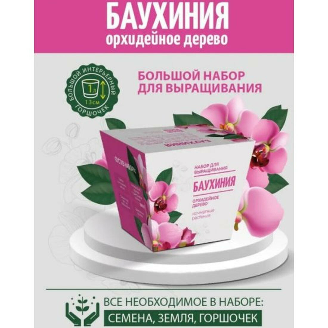 Подарочный набор ЭкоКлуб  Комнатные растения  Баухиния   баухиния