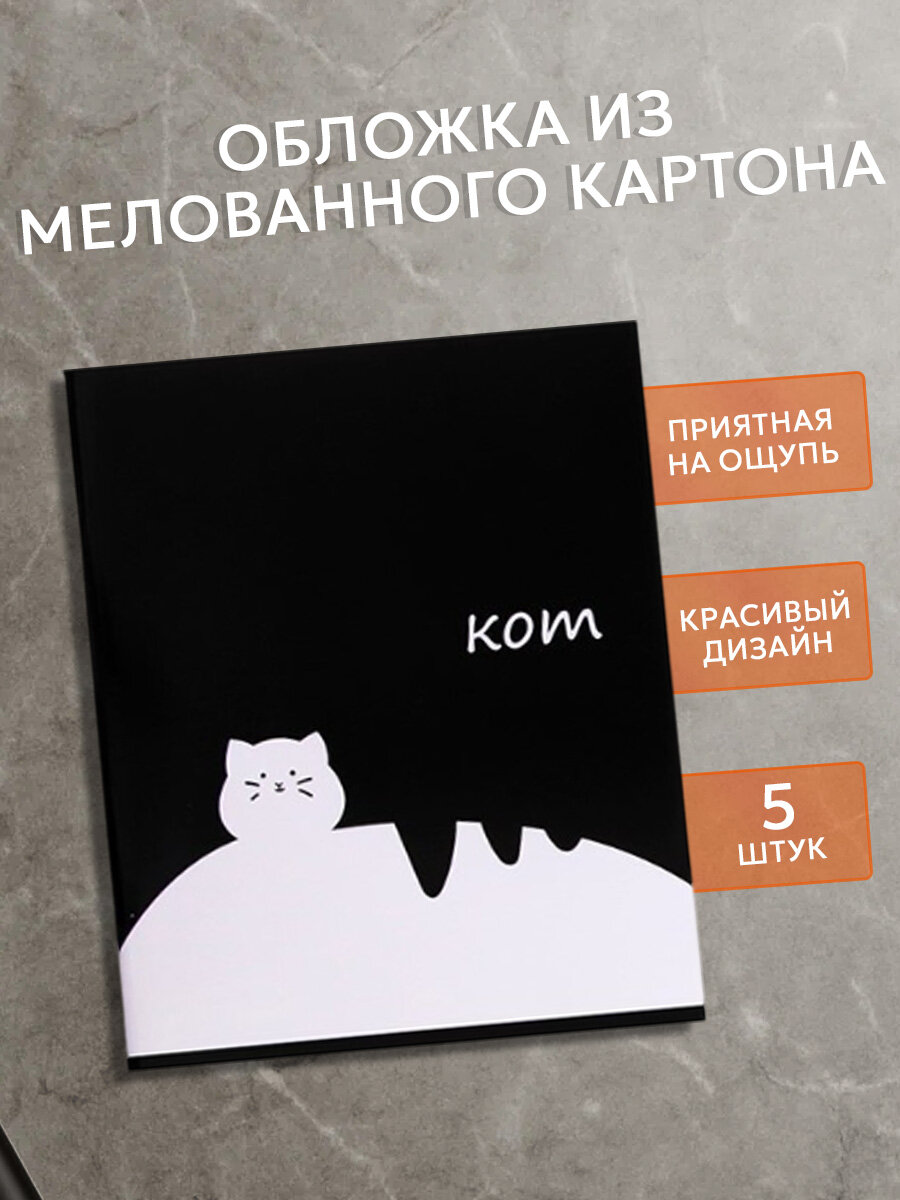 Комплект тетрадей 5 штук Calligrata "Кот" в линию, 48 листов — фото 1