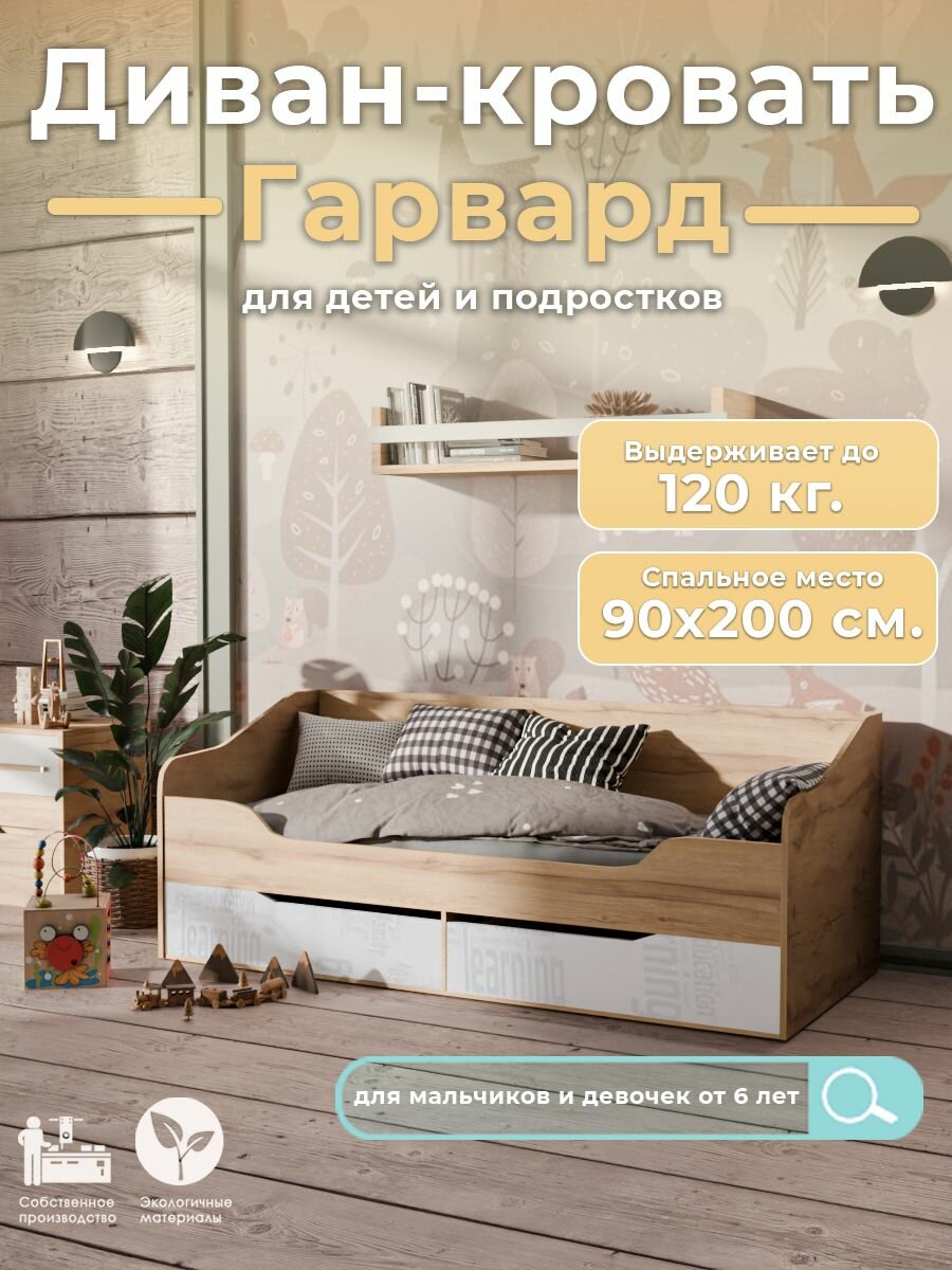 Подростковая диван-кровать Гарвард в детскую 90х200 см белый шагрень/дуб золотой с ящиками