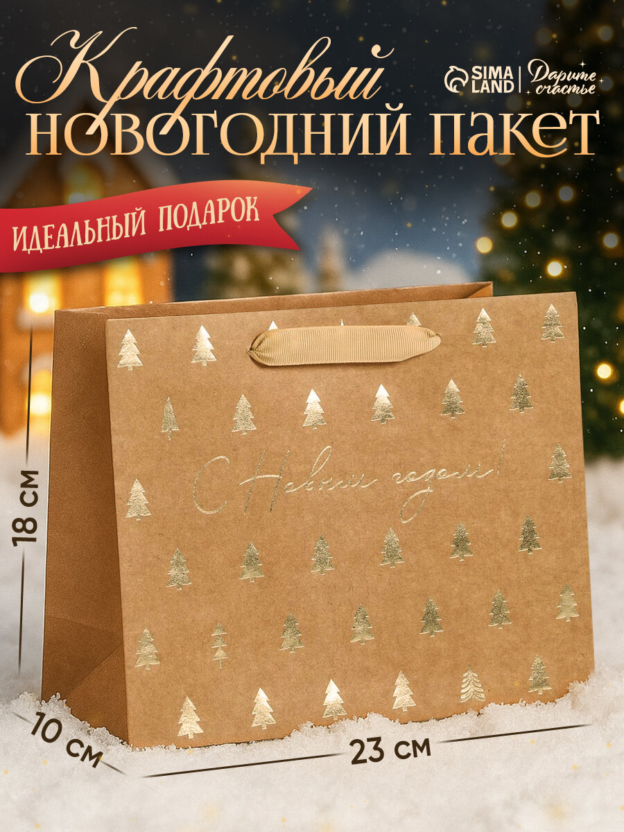 Пакет подарочный 