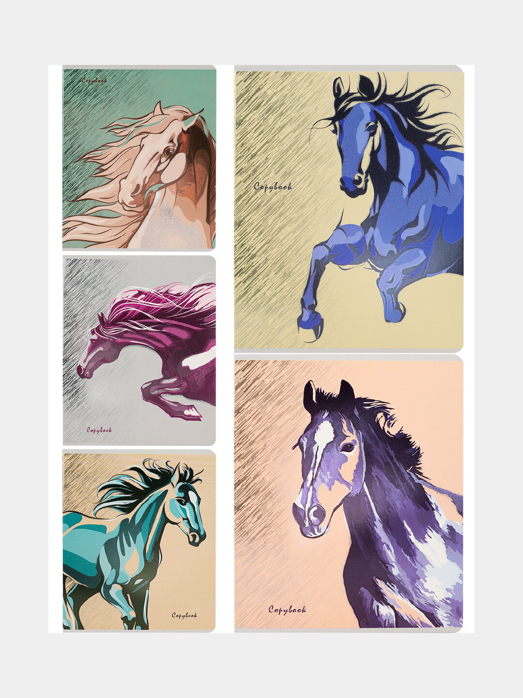 Тетрадь в клетку ТМ"Collezione" 48-3246, Рисунок Лошади, 48 листов, 5 видов