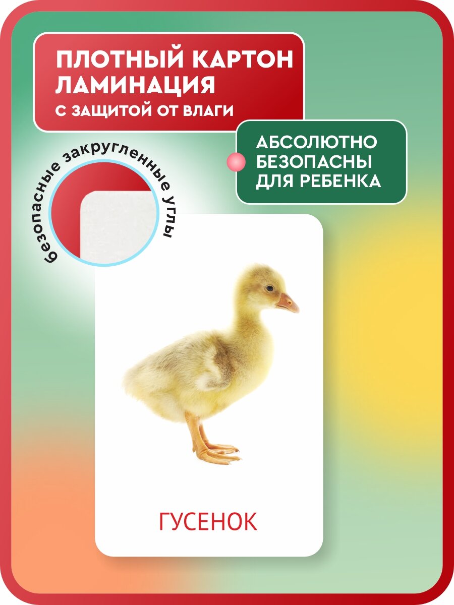 Развивающие карточки для малышей 95 шт. логопедические двусторонние для малышей от 6 месяцев, методика Гленна Домана — фото 1