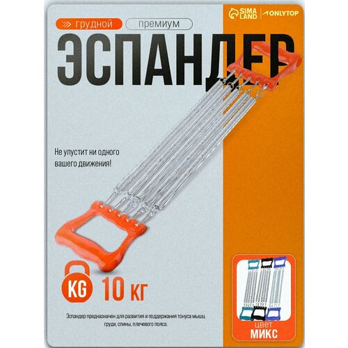 Эспандер грудной 59 х 12 х 2,5 см, детский, нагрузка до 10 кг, цвета микс