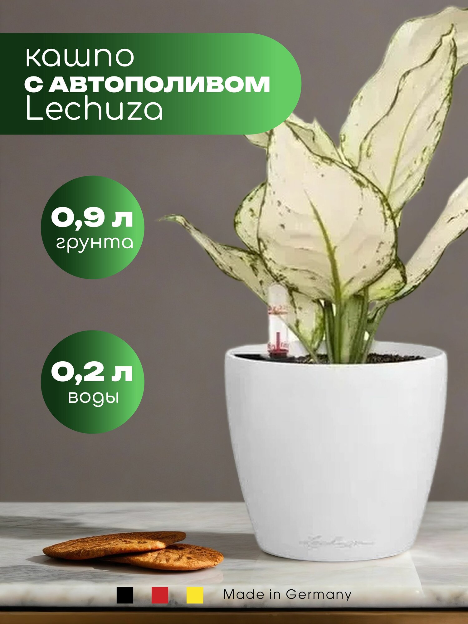 Кашпо для цветов суккулентов кактусов с автополивом пластиковое Lechuza Classico Color 12 горшок настольный для декора