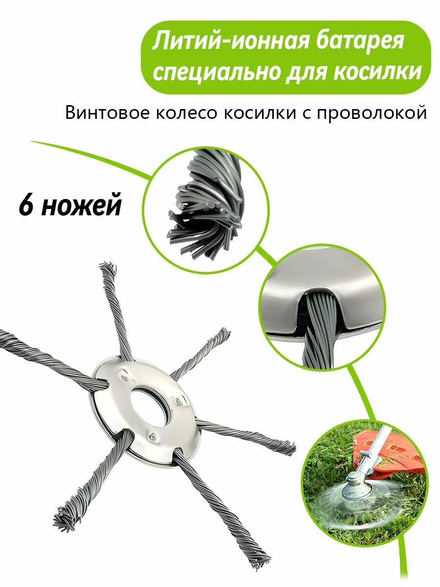 Полольник