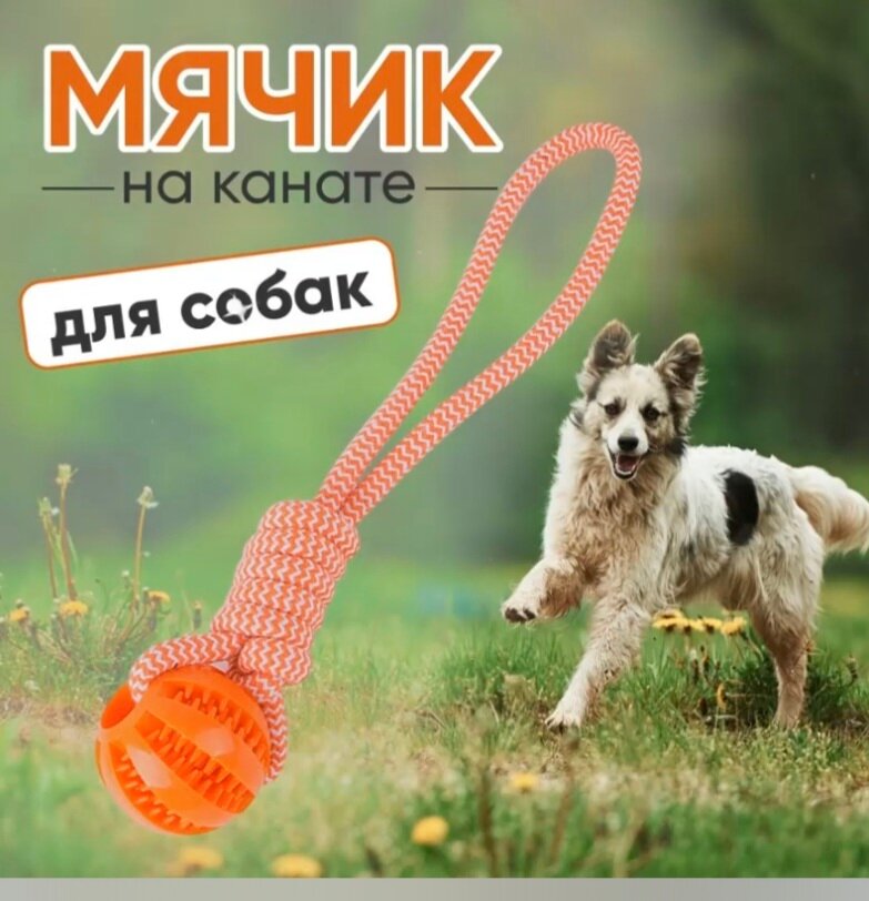 Жевательная Игрушка для Собак 