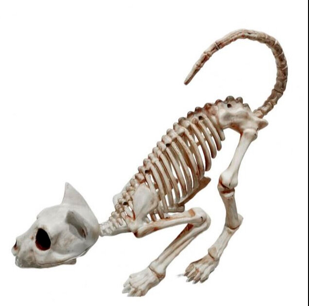 Скелет кошки "Сфера", реалистичный, пластик, белый, 30 см x 17 см x 5 см — фото 1