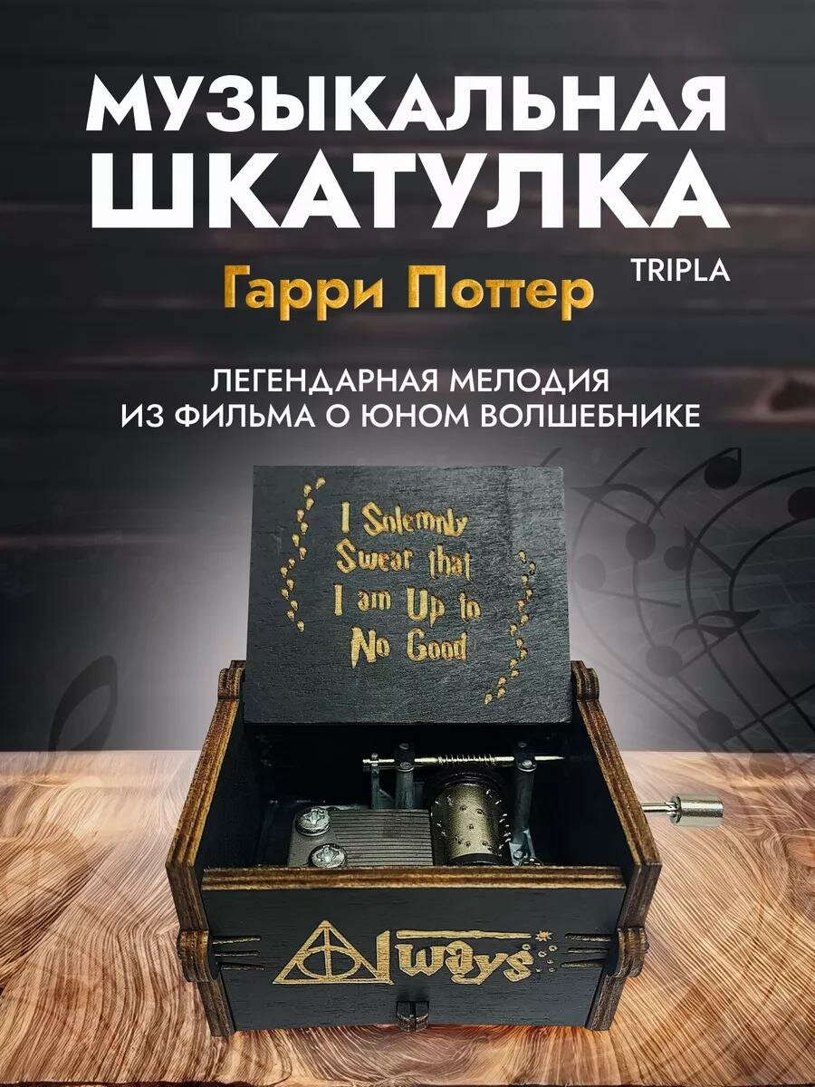 Музыкальная шкатулка Гарри Поттера (черный цвет)
