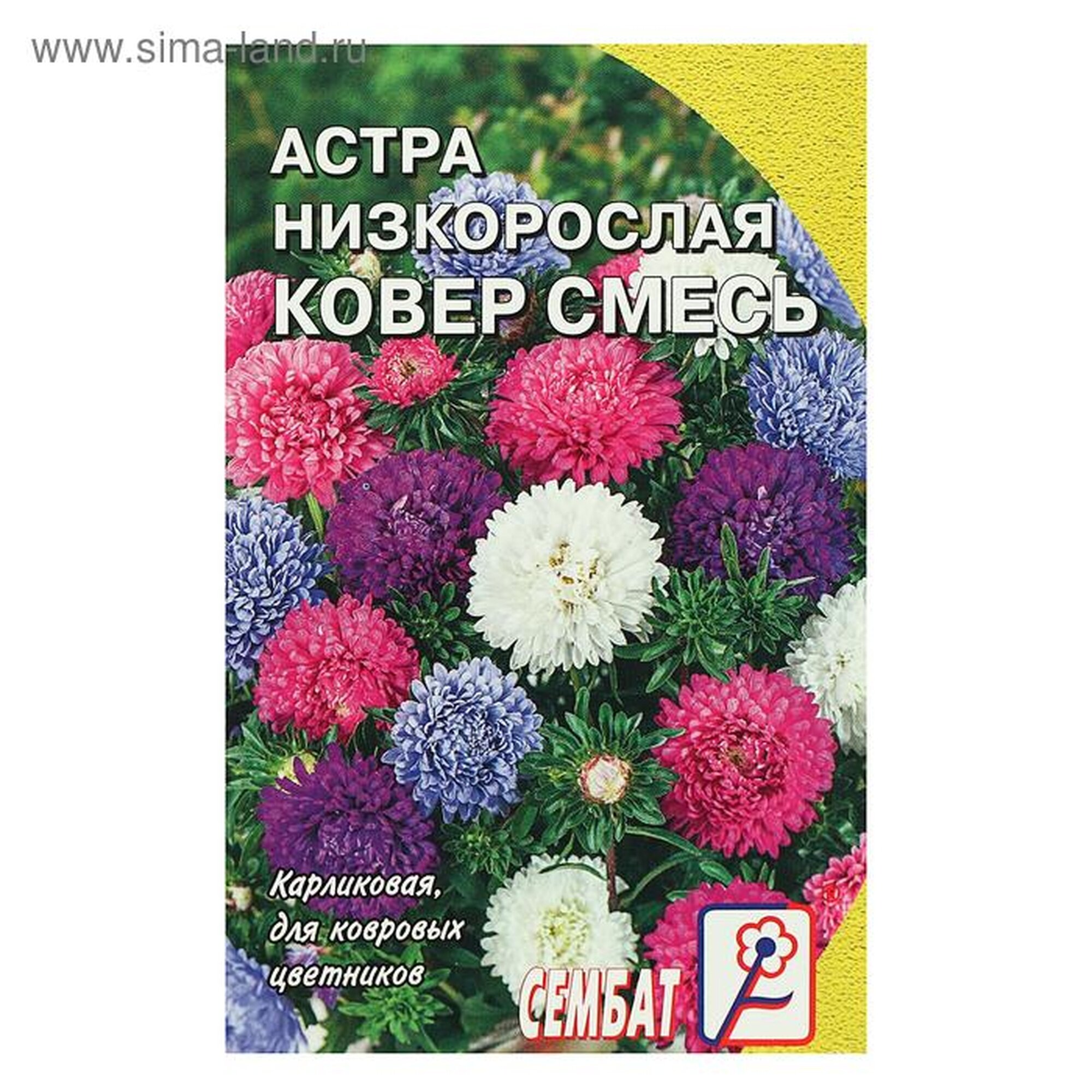 Семена цветов Астра 