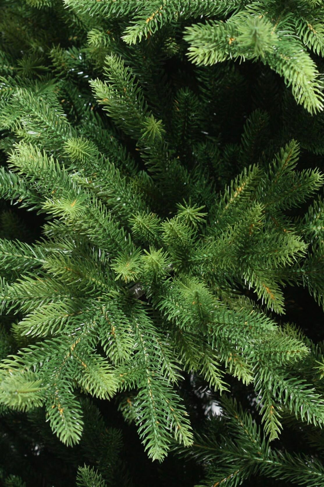 Елка искусственная Сириус, ElkaDe, Литая, 955 веточек, высота 185см. — фото 1