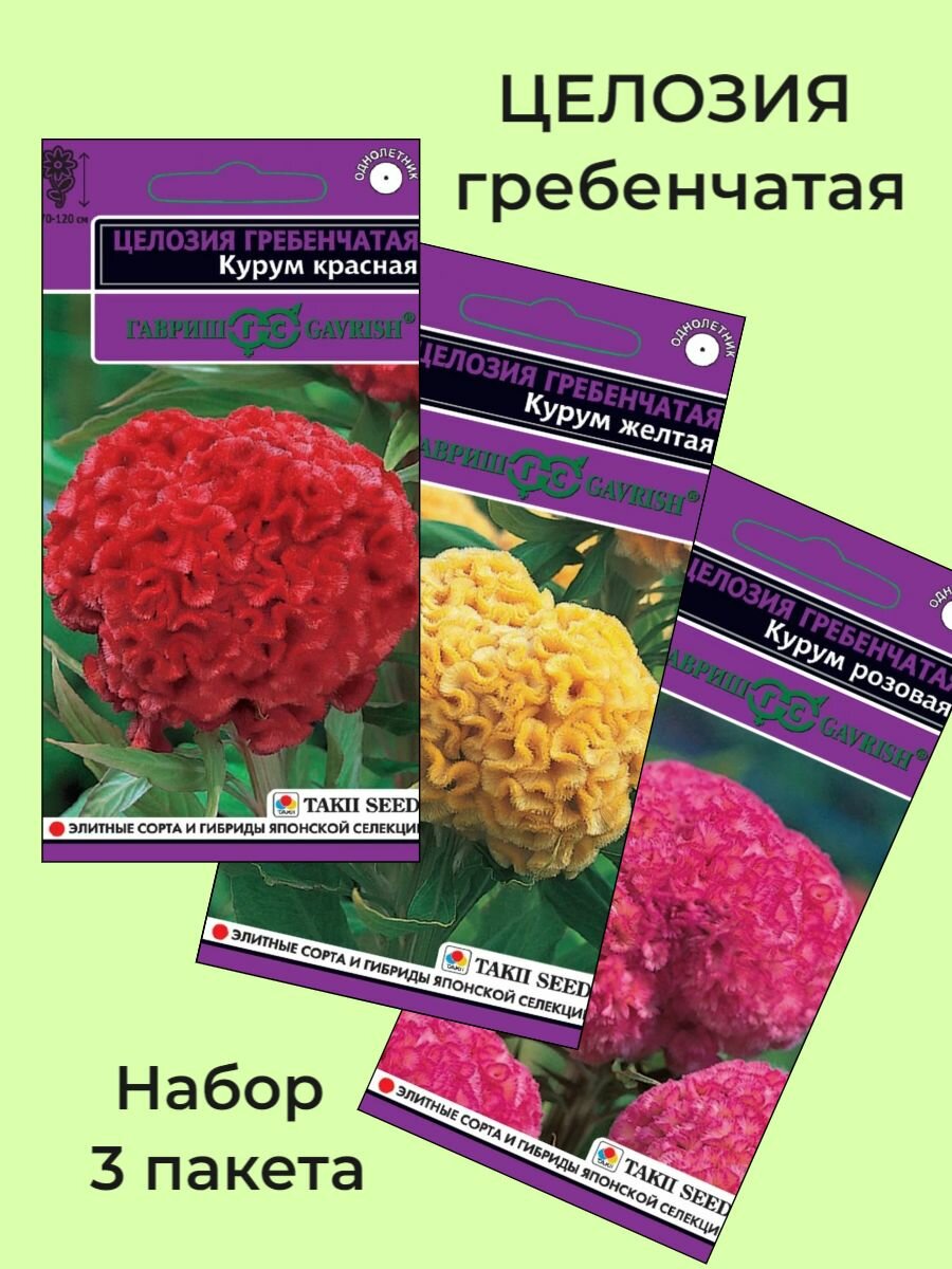 Семена Целозия Гребенчатая 3 сорта