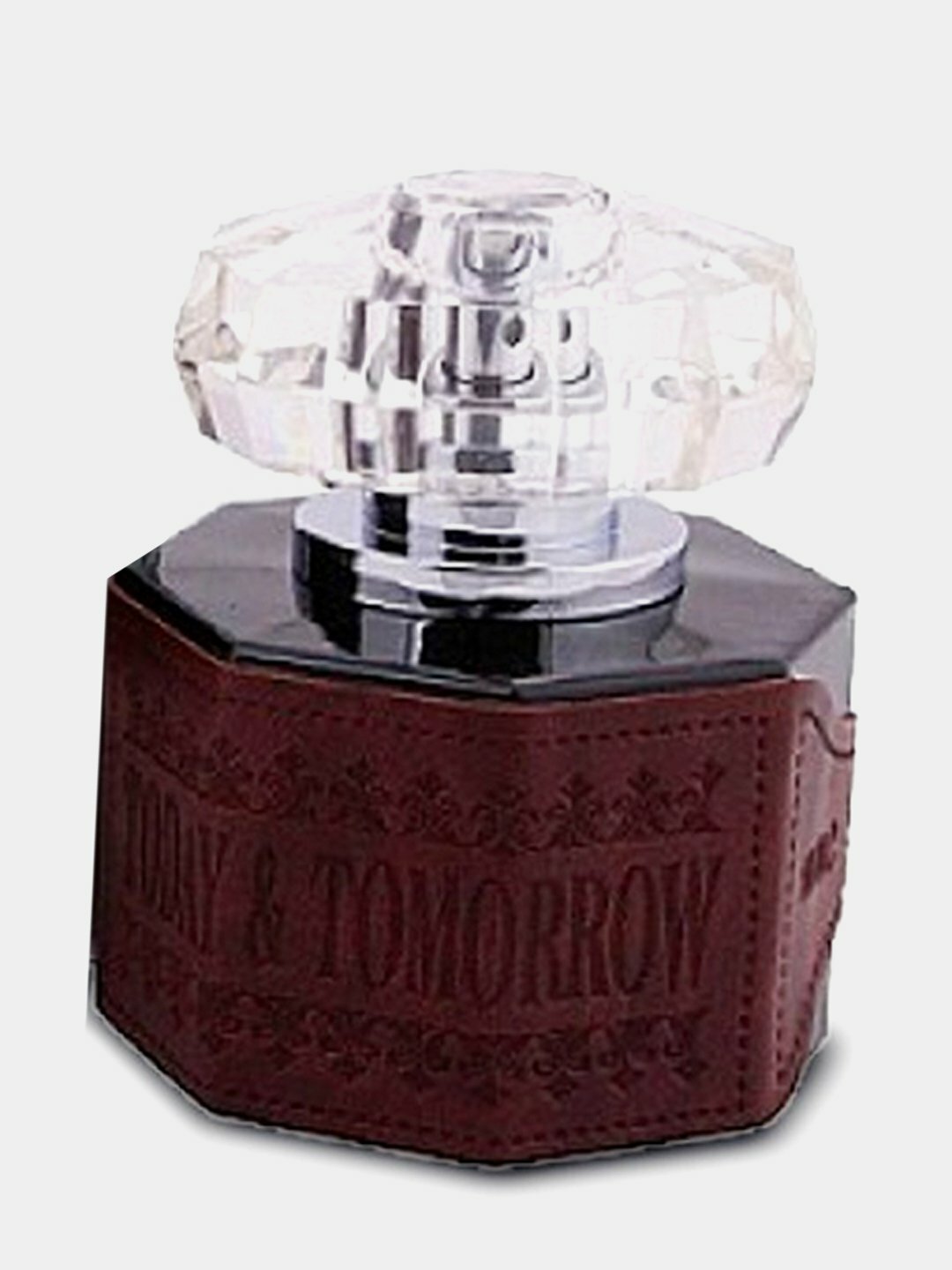 Мужская парфюмерная вода Today & Tomorrow Pour Homme, Мир ароматов 100 мл — фото 1