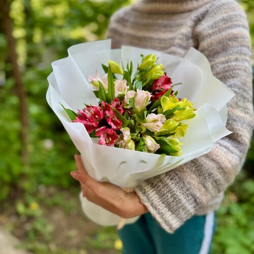 Изображение товара Букет "Альстромерии микс", монобукет, сборка на стеблях, высота 40см, 7 шт