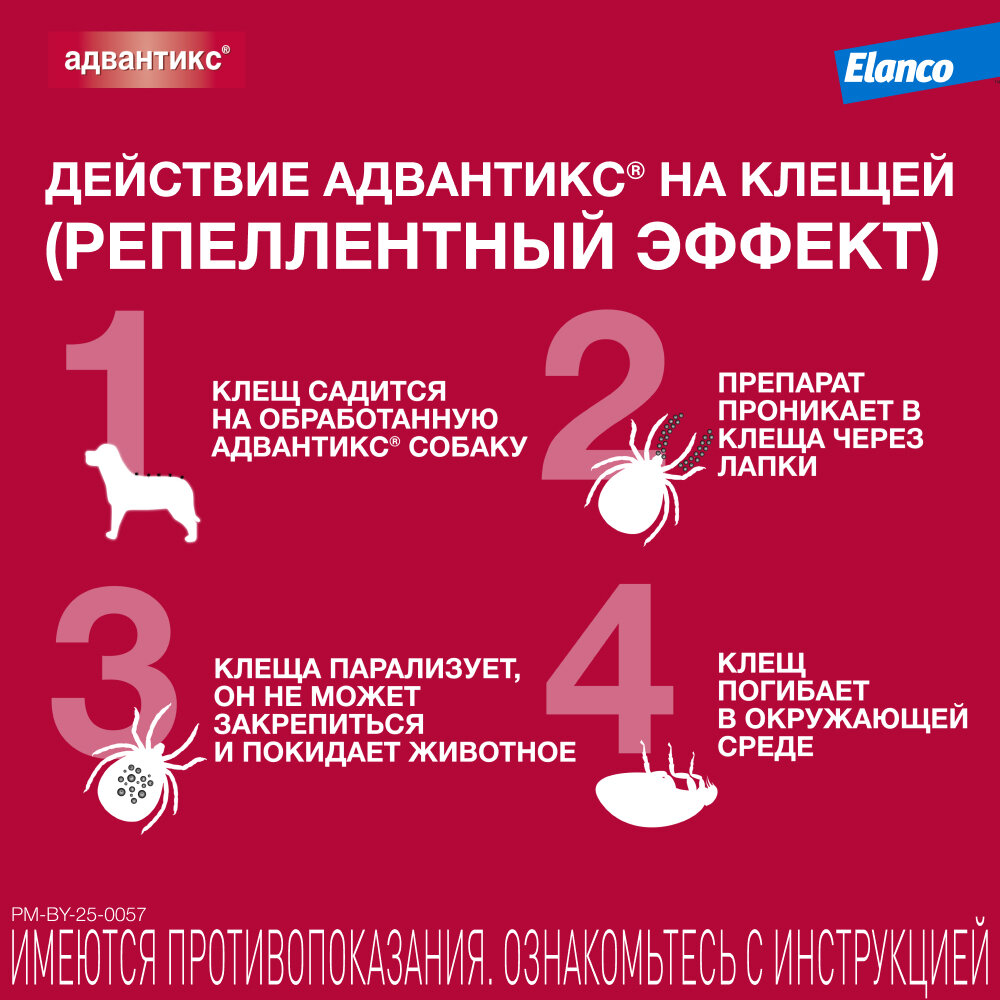 Адвантикс (Elanco)  для собак от 10 до 25 кг для защиты от блох, иксодовых клещей и летающих насекомых и переносимых ими заболеваний, 4 пипетки в упаковке — фото 1