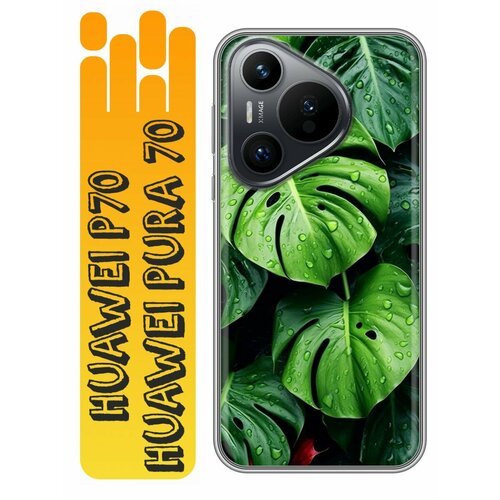 черный, зеленый