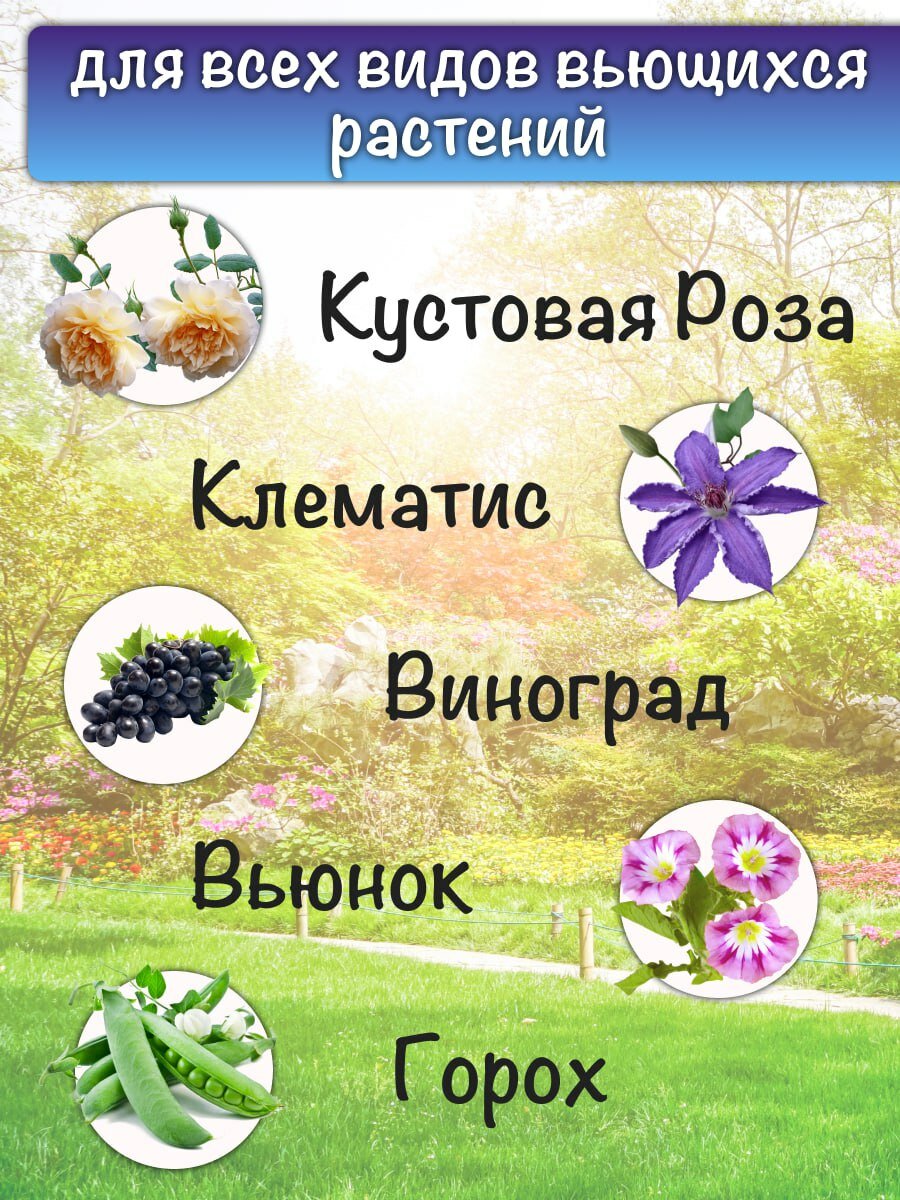 Шпалера для вьющихся растений, трансформер 3Д, опора металлическая для роз, клематиса, гороха, огурцов — фото 1