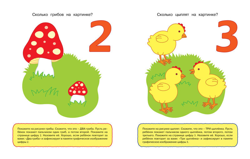 Цифры и числа (1-2 года) — фото 1