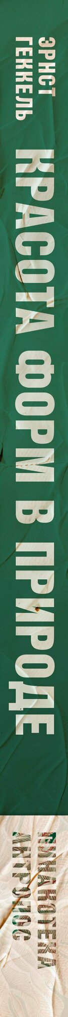 Красота форм в природе. Альбом старинных иллюстраций — фото 1