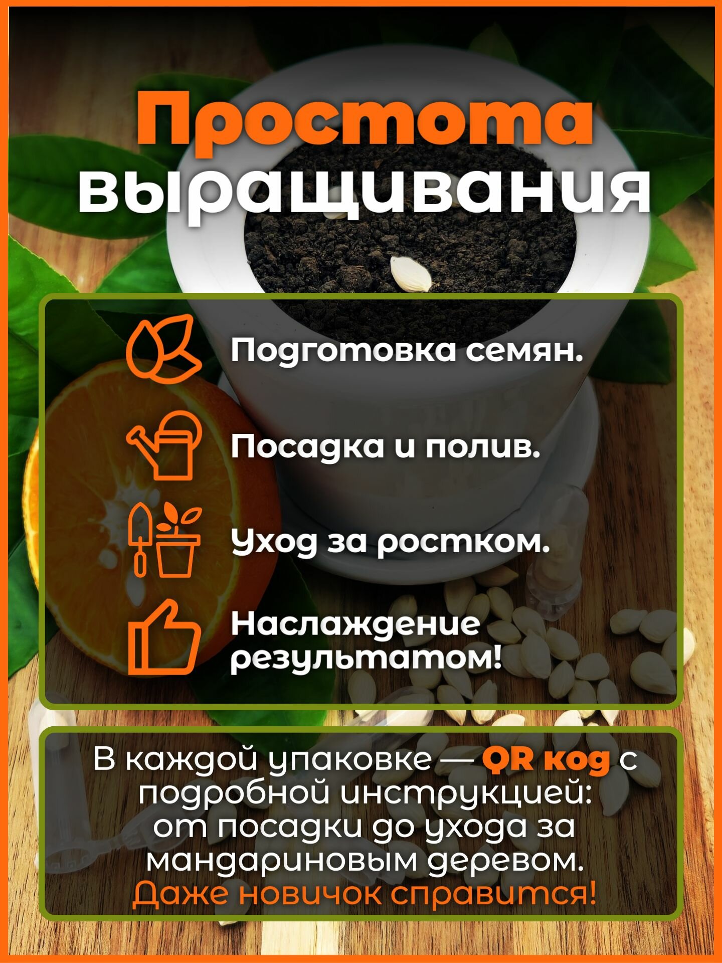 Мандариновое дерево , Семена мандарина комнатного , 6 шт. — фото 1