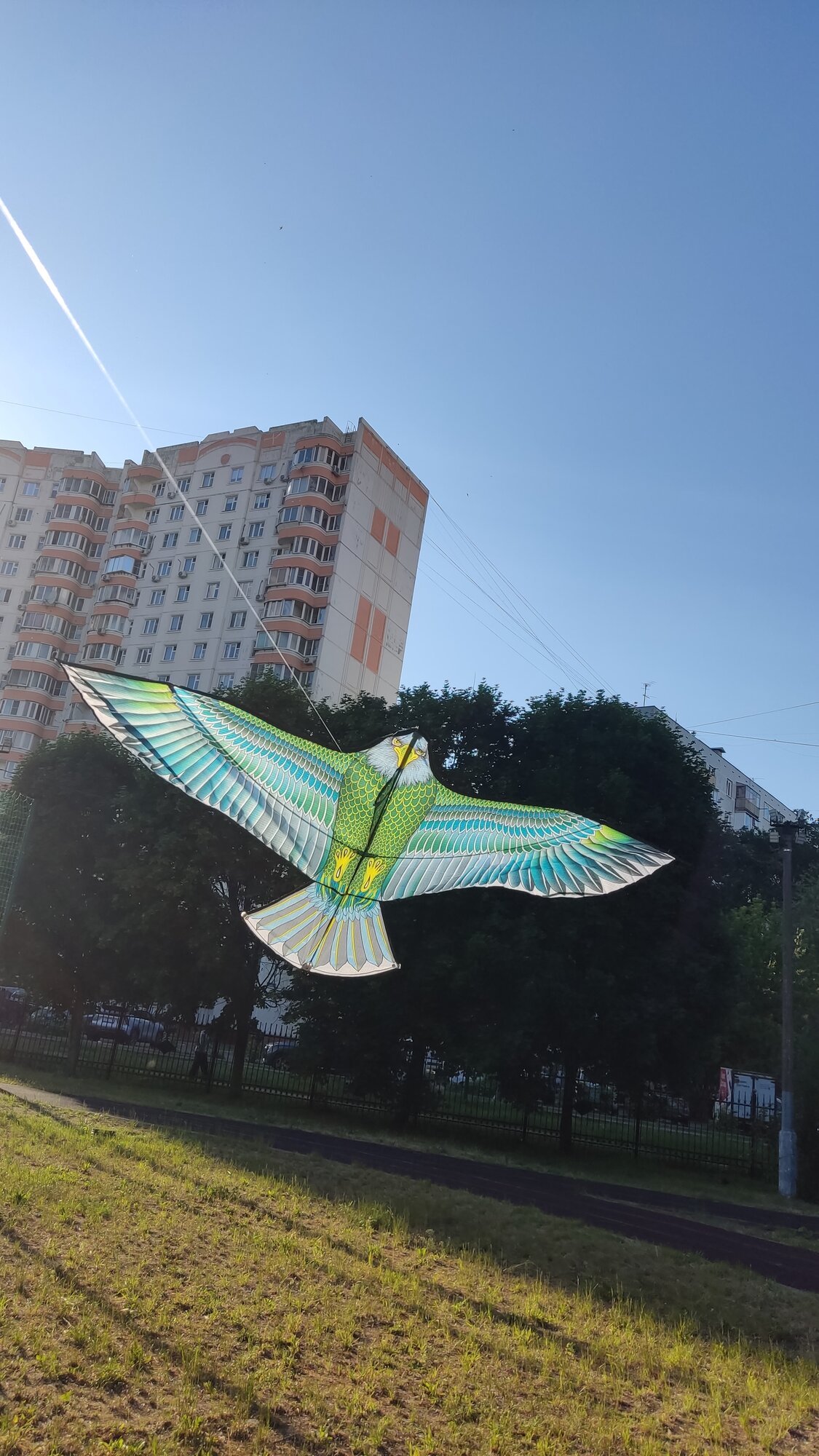 Большой Воздушный Змей Орел, натуралистичного вида, с очень красивыми сине-зелеными крыльями, размах крыльев 160 см — фото 1